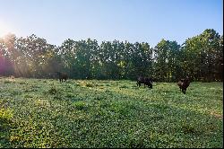 Sprawling 122 Acre Cattle Farm In Gilmer County!