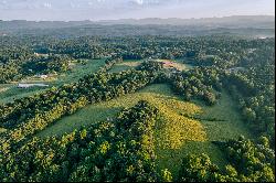 Sprawling 122 Acre Cattle Farm In Gilmer County!