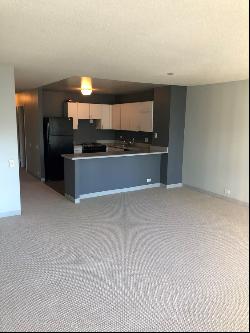 474 N LAKE SHORE Drive #3001, Chicago IL 60611