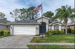 11542 Tee Time Circle, New Port Richey FL 34654