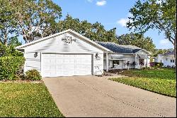 1805 Tweed Court, Leesburg FL 34788