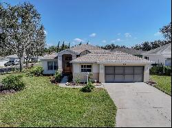 5075 China Sea Drive, Tavares FL 32778