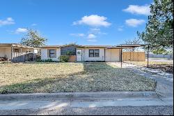 3909 Pleasant Dr, Midland TX 79703