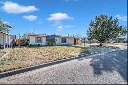 3909 Pleasant Dr, Midland TX 79703