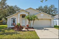 8406 Poydras Lane, Tampa FL 33635