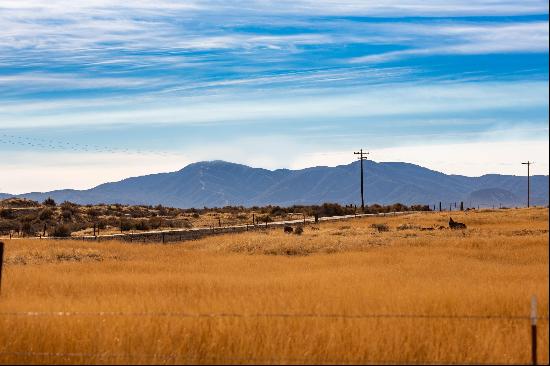 Cuyama