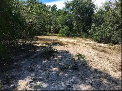 7789 W Hunterhill Street, Dunnellon FL 34433