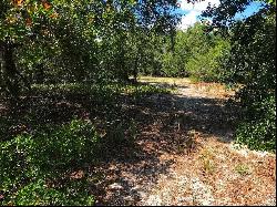 7789 W Hunterhill Street, Dunnellon FL 34433