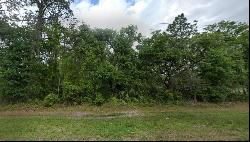 NE County Road 315, Fort McCoy FL 32134