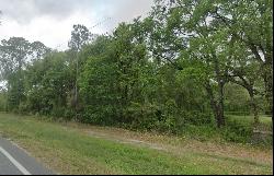 NE County Road 315, Fort McCoy FL 32134