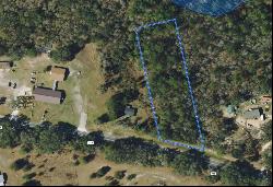 NE County Road 315, Fort McCoy FL 32134