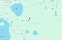 NE County Road 315, Fort McCoy FL 32134