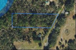 NE County Road 315, Fort McCoy FL 32134