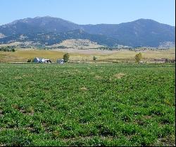 TBD Manley, Bozeman MT 59715