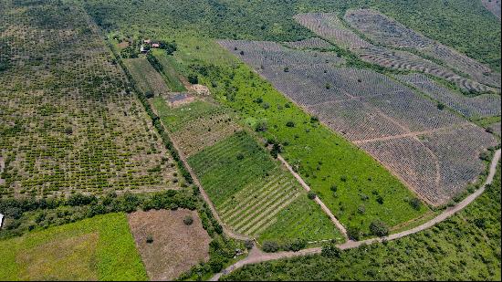 Terreno La Canada, Ixtlahuacan de los Membrillos, Jalisco