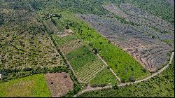 Terreno La Cañada, Ixtlahuacán de los Membrillos, Jalisco