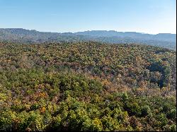 51.96+/- Acres of Untouched Paradise in the Heart of Rich Mountain Wilderness