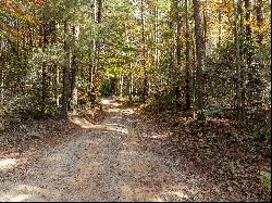 51.96+/- Acres of Untouched Paradise in the Heart of Rich Mountain Wilderness