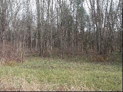 Lot 0001 Palms Road, Casco MI 48064