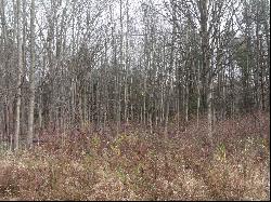 Lot 0001 Palms Road, Casco MI 48064