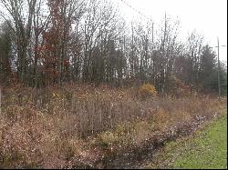 Lot 0001 Palms Road, Casco MI 48064