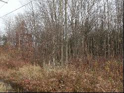 Lot 0001 Palms Road, Casco MI 48064