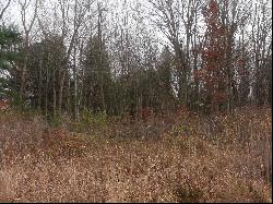 Lot 0001 Palms Road, Casco MI 48064