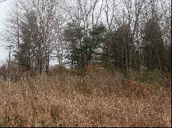 Lot 0001 Palms Road, Casco MI 48064