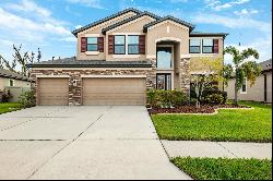 8048 Roma Dune Drive, Wesley Chapel FL 33545