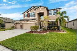 8048 Roma Dune Drive, Wesley Chapel FL 33545