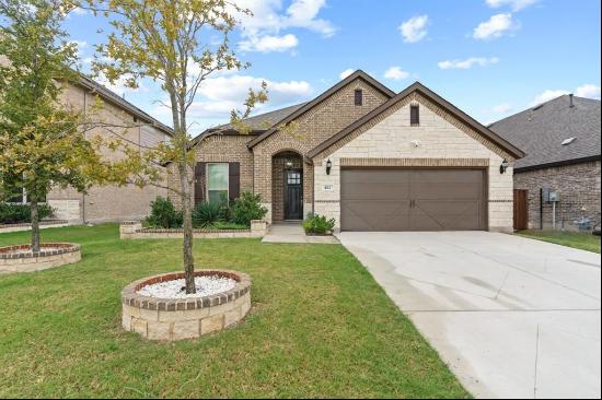 453 Letara Vista Drive, Haslet TX 76052