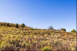 4.85 Acre Victory Ranch Homesite with Panoramic Views