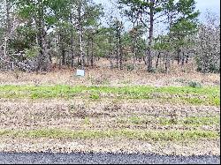 2 LAKE PALESTINE LOTS W/ ACREAGE