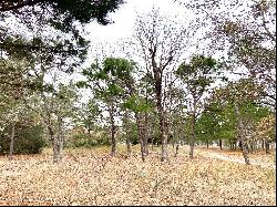 2 LAKE PALESTINE LOTS W/ ACREAGE