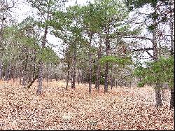 2 LAKE PALESTINE LOTS W/ ACREAGE