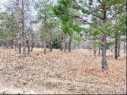 2 LAKE PALESTINE LOTS W/ ACREAGE