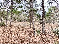 2 LAKE PALESTINE LOTS W/ ACREAGE