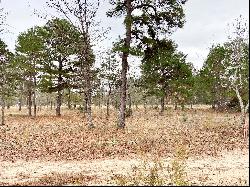 2 LAKE PALESTINE LOTS W/ ACREAGE