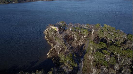 2 LAKE PALESTINE LOTS W/ ACREAGE