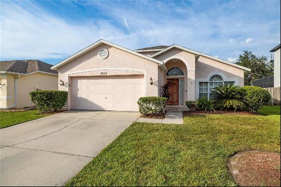 1603 Gray Bark Drive, Oldsmar FL 34677