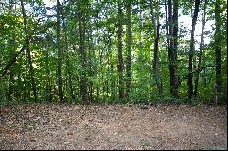 Dawsonville Dream Home Site