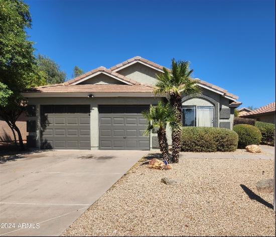 13326 W Watson Lane, Surprise AZ 85379