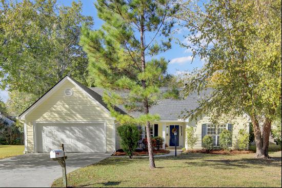 743 Lavalier Square, Mount Pleasant SC 29464