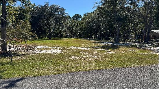 Lot 3 Rodney Drive, Freeport FL 32439