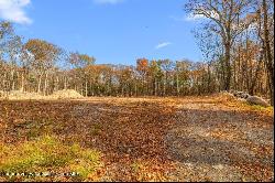 132 Chestnut Hill Road, Marbletown NY 12401