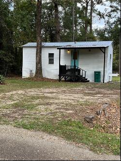 16985 Lisa Drive, Livingston LA 70754