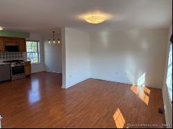 128 Ludlow Street #APT D, Stamford CT 06902