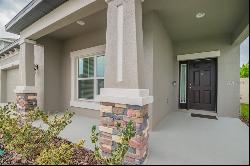 30781 Parrot Reef Court, Wesley Chapel FL 33545