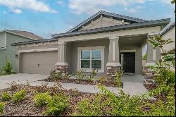 30781 Parrot Reef Court, Wesley Chapel FL 33545