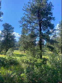 Lot 3 Colonial Drive, Durango CO 81303